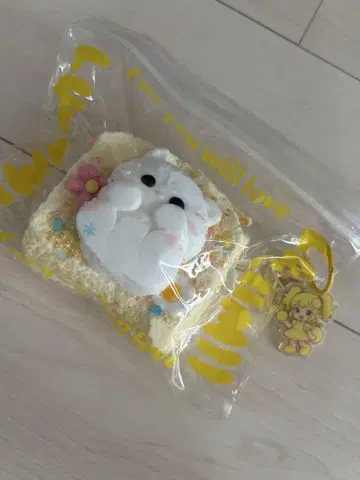 스퀴즈