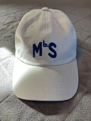 Merz b. Schwanen / MBS LOGO CAP