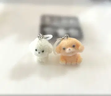 모코푸와 강아지 메지루시 액세서리 가챠가챠 비전 토이 푸들