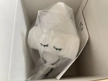 와이텔군 실리콘 룸 라이트 8주년