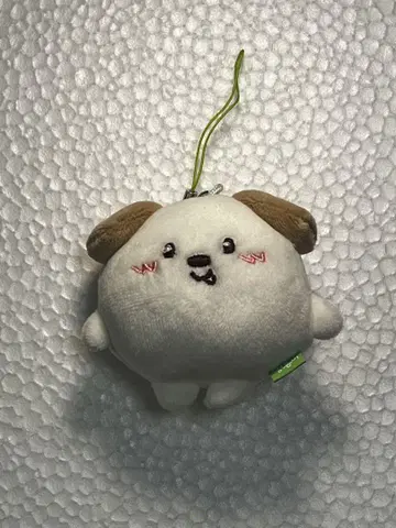 RIIZE 라이즈 앤톤 anton 키링 봉제 인형