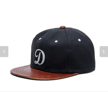 THE H.W DOG&CO 캡