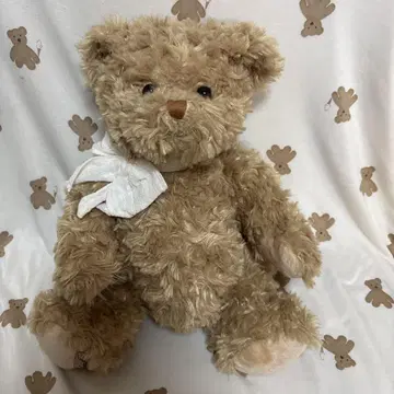 부코우스키 곰 봉제 인형