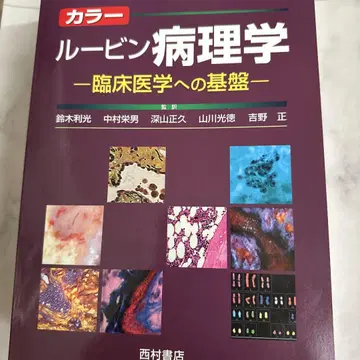 컬러 루빈 병리학 임상 의학의 기초