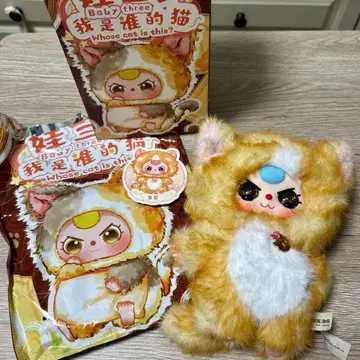 베이비 쓰리 나는 누구의 고양이? 금콩