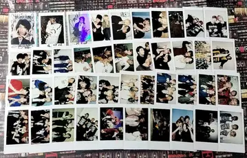 SLH YUMA 폴라로이드 534장