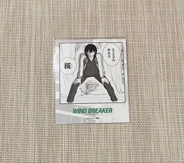WINDBREAKER 토가미 죠 폴라로이드풍 브로마이드