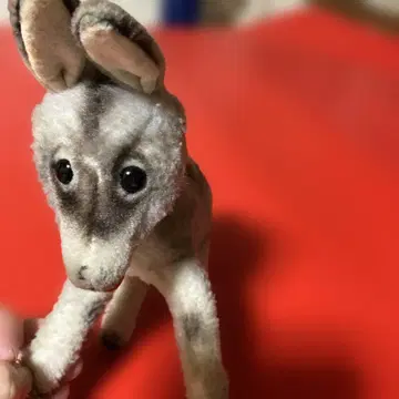 캥거루 봉제 인형 본체