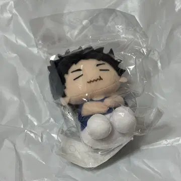아카아시 케이지 좌