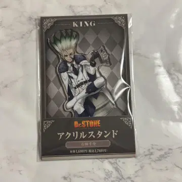 Dr.STONE 닥스토 훼미리마트 훼미리마트 아크릴 스탠드 체스 센쿠