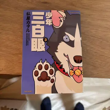 소년 삼백안 3