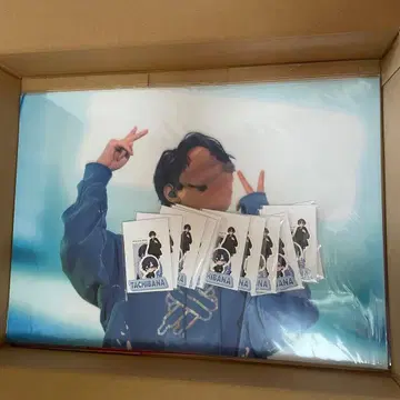 타치바나 클리어 포스터 스티커