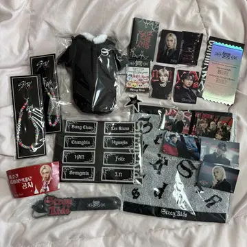 Straykids 굿즈 묶음 판매