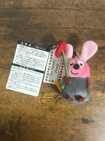 프레데릭 핑크