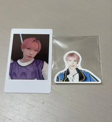 팬더 드래곤 파라곤 타이거 하피카
