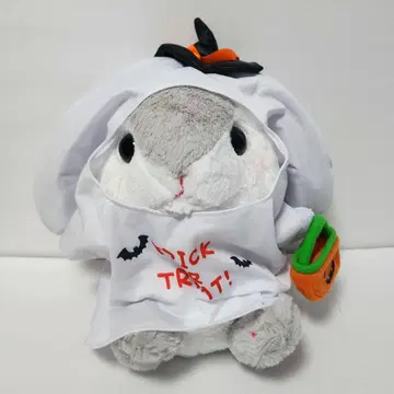 포테우사 롯삐 하이퀄리티 할로윈 JB  P.Y.O.N.T.A.N