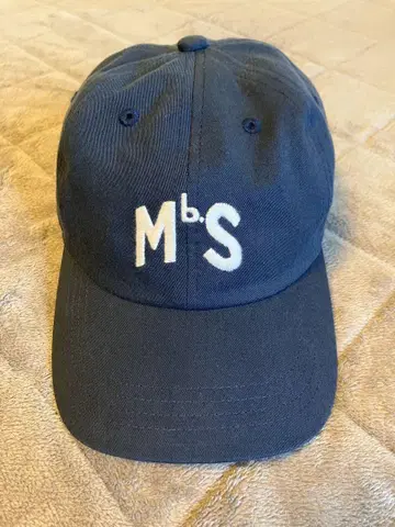 Merz b. Schwanen / MBS LOGO CAP