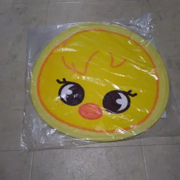 StrayKids skzoo 포가리 미니 카펫