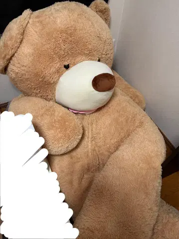 코스트코 곰