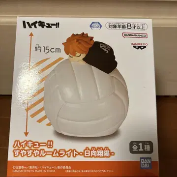 하이큐!! 히나타 쇼요 룸 라이트