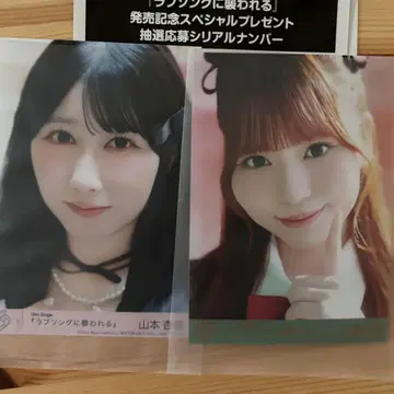 러브송에 습격당하는 브로마이드