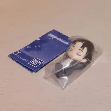 엘렌 잠재우기 부대