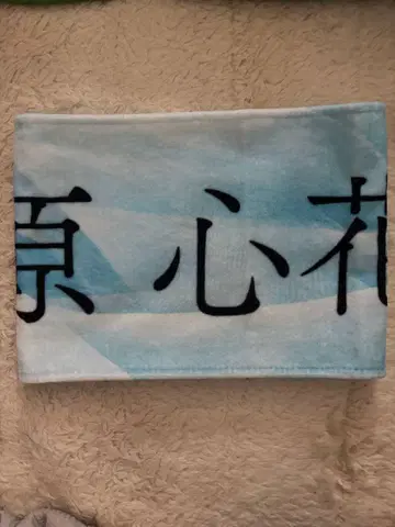 [나의 파랑] 스페어 없는 사랑 타월 하라카와 코코하나