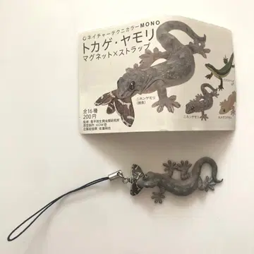 네이처 테크니컬러 MONO 도마뱀 도마뱀 일본도마뱀(포식) 스트랩