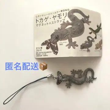 네이처 테크니컬러 MONO 도마뱀 도마뱀 일본도마뱀(포식) 스트랩