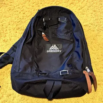 GREGORY FINE DAY 백팩