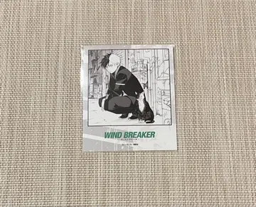 WINDBREAKER 사쿠라 하루카 폴라로이드풍 브로마이드