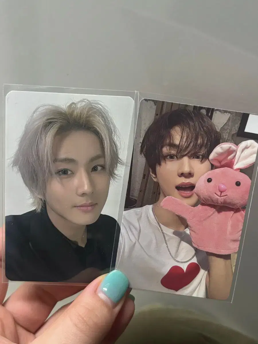 Enhypen Jungwon poca bulk