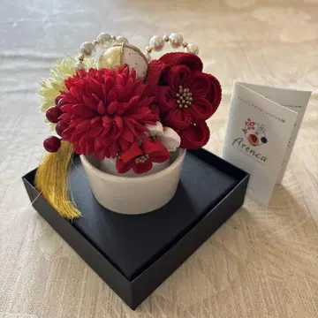 Arenca 머리 장식 일본 의류용
