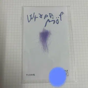 호잇피&랏피 랏피의 털 팝업 스토어 팝업