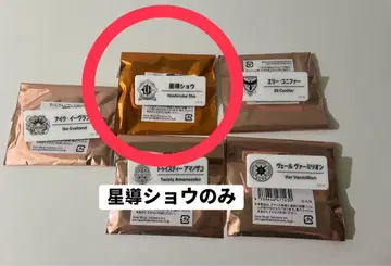 니지산지 호시미치 쇼 네임 배지 니지 페스티벌