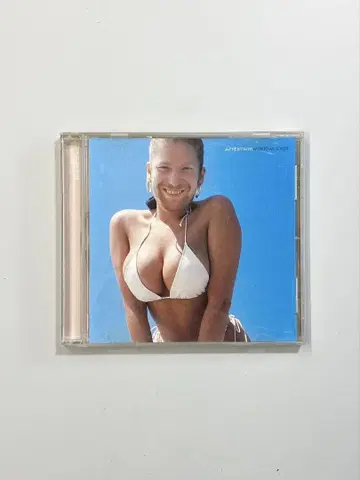 [ WINDOWLICKER ] /APHEX TWIN