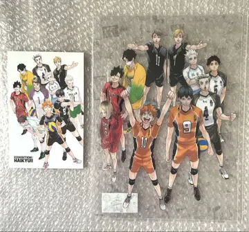 하이큐전 클리어 파일 엽서