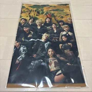 BMSGFES25 메가 캡슐 패브릭 포스터