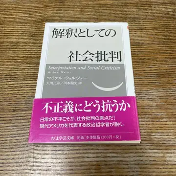 해석으로서의 사회 비판