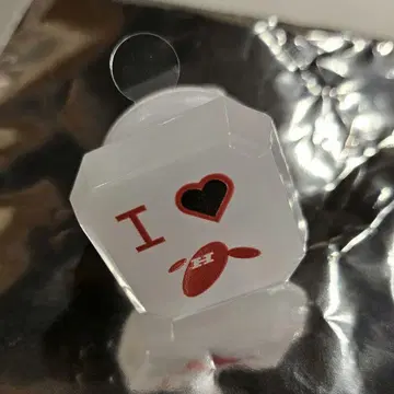 양문학 무도관 한정판 링 라이트