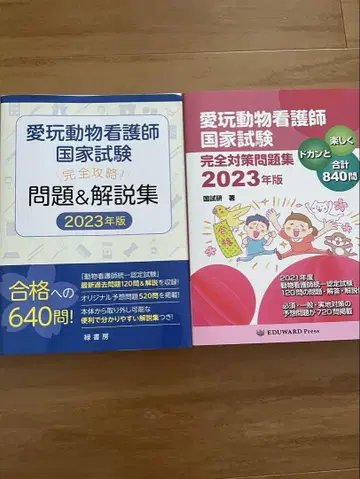 2023년판 자격요건 시험 대책 문제집 2권 세트