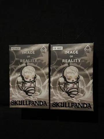 POP MART SKULLPANDA Image of Reality