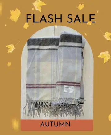 대형 스톨 12월 말까지 게재