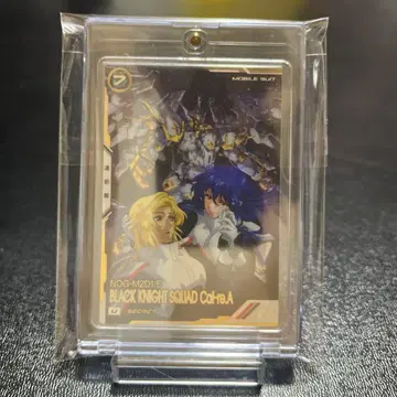 아스날베이스 칼라 시크릿