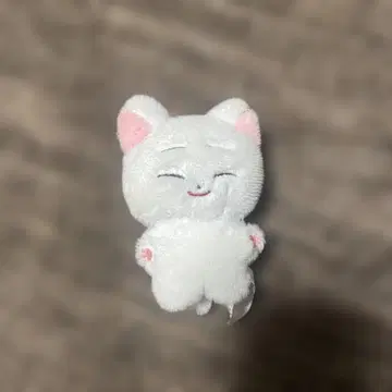 ENHYPEN SUNOO 마스터 봉제 인형