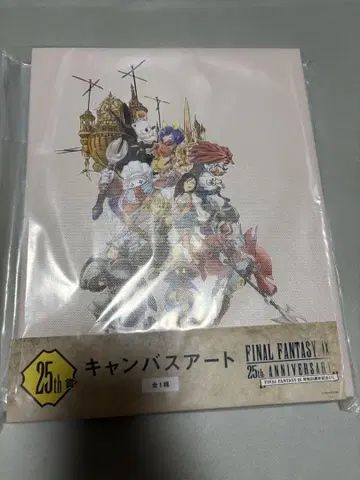 FINAL FANTASY IX 25th Anniversary 캔버스