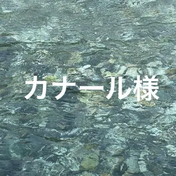 카나르 님