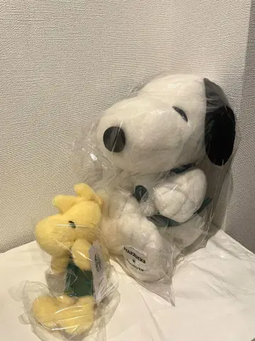 미사용 새상품 스타벅스 x 스누피 그린 에이프런 봉제 인형 2점