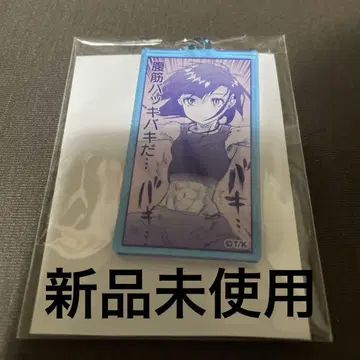 메달리스트전 랜덤 아크릴 키링 오카자키 이루카 이루카 아크릴 키링