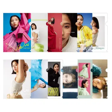 타마이 시오리 IROIRO SHIORI 클리어 파일 세트 E F